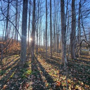 Photo #6 of Bethany Rd., Rustburg, VA 47.4 acres