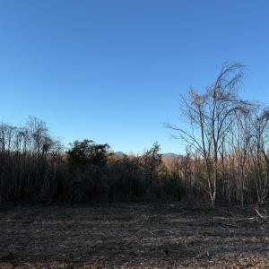 Photo #2 of Link Road, Bedford, VA 4.7 acres
