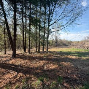 Photo #12 of Link Road, Bedford, VA 4.7 acres