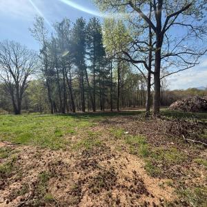 Photo #17 of Link Road, Bedford, VA 4.7 acres