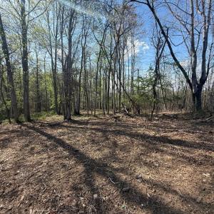 Photo #9 of Link Road, Bedford, VA 4.7 acres