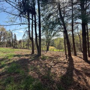 Photo #14 of Link Road, Bedford, VA 4.7 acres