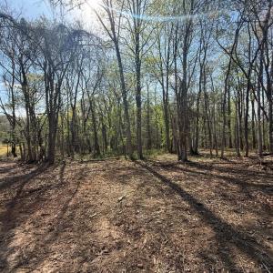 Photo #8 of Link Road, Bedford, VA 4.7 acres
