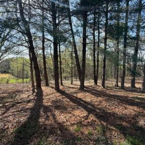 Photo #13 of Link Road, Bedford, VA 4.7 acres