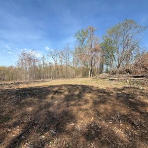Photo #4 of Link Road, Bedford, VA 4.7 acres
