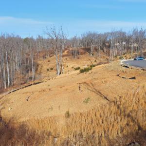 Photo #4 of 127 Courtney Springs Drive, Lynchburg, VA 0.2 acres