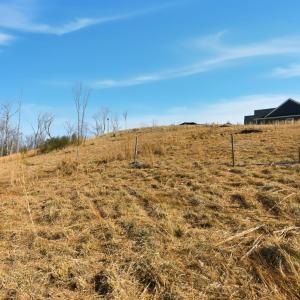 Photo #9 of 127 Courtney Springs Drive, Lynchburg, VA 0.2 acres