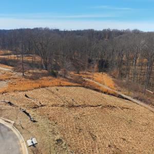 Photo #18 of 127 Courtney Springs Drive, Lynchburg, VA 0.2 acres