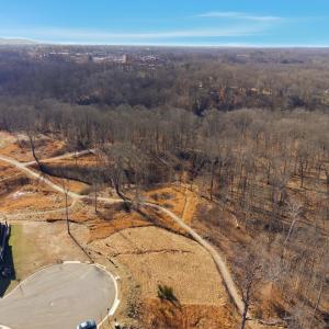 Photo #27 of 127 Courtney Springs Drive, Lynchburg, VA 0.2 acres