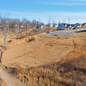 Photo #16 of 127 Courtney Springs Drive, Lynchburg, VA 0.2 acres