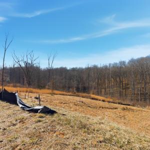 Photo #6 of 127 Courtney Springs Drive, Lynchburg, VA 0.2 acres