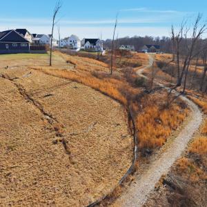 Photo #17 of 127 Courtney Springs Drive, Lynchburg, VA 0.2 acres