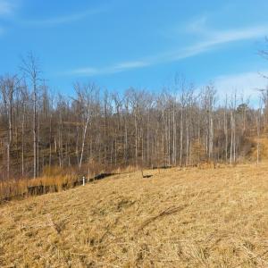 Photo #11 of 127 Courtney Springs Drive, Lynchburg, VA 0.2 acres