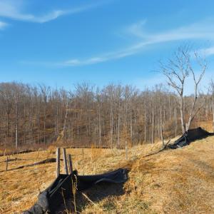 Photo #13 of 127 Courtney Springs Drive, Lynchburg, VA 0.2 acres