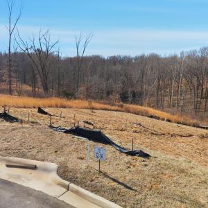 Photo #14 of 127 Courtney Springs Drive, Lynchburg, VA 0.2 acres