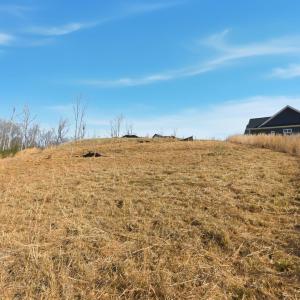 Photo #10 of 127 Courtney Springs Drive, Lynchburg, VA 0.2 acres