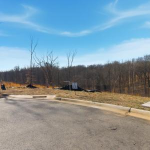 Photo #5 of 127 Courtney Springs Drive, Lynchburg, VA 0.2 acres