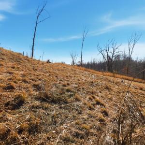 Photo #7 of 127 Courtney Springs Drive, Lynchburg, VA 0.2 acres