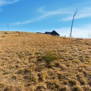 Photo #8 of 127 Courtney Springs Drive, Lynchburg, VA 0.2 acres