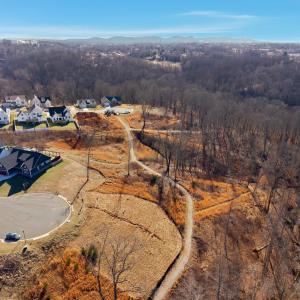 Photo #28 of 127 Courtney Springs Drive, Lynchburg, VA 0.2 acres