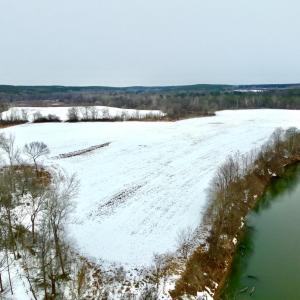 Photo #2 of Depot Lane, Nathalie, VA 226.0 acres