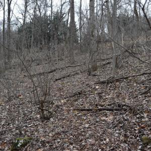 Photo #23 of Hickory Falls Road, Blue Ridge, VA 17.3 acres