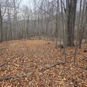 Photo #1 of Hickory Falls Road, Blue Ridge, VA 17.3 acres