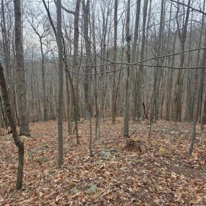 Photo #8 of Hickory Falls Road, Blue Ridge, VA 17.3 acres