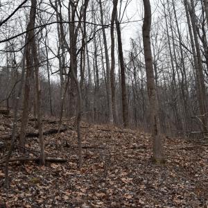 Photo #22 of Hickory Falls Road, Blue Ridge, VA 17.3 acres