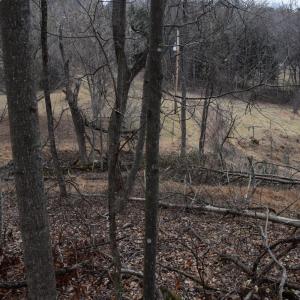 Photo #34 of Hickory Falls Road, Blue Ridge, VA 17.3 acres