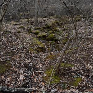 Photo #24 of Hickory Falls Road, Blue Ridge, VA 17.3 acres