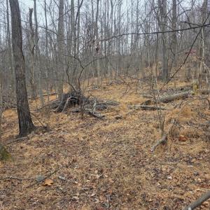 Photo #5 of Hickory Falls Road, Blue Ridge, VA 17.3 acres