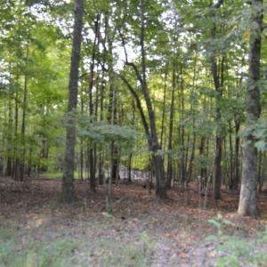Photo #8 of Hickory Falls Road, Blue Ridge, VA 17.3 acres