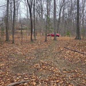 Photo #14 of Hickory Falls Road, Blue Ridge, VA 17.3 acres