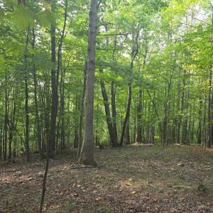Photo #5 of Hickory Falls Road, Blue Ridge, VA 17.3 acres