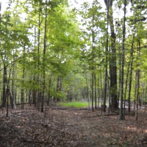 Photo #63 of Hickory Falls Road, Blue Ridge, VA 17.3 acres