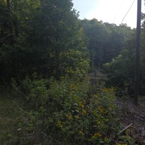 Photo #53 of Hickory Falls Road, Blue Ridge, VA 17.3 acres
