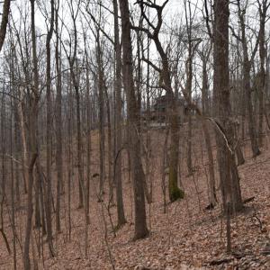Photo #38 of Hickory Falls Road, Blue Ridge, VA 17.3 acres