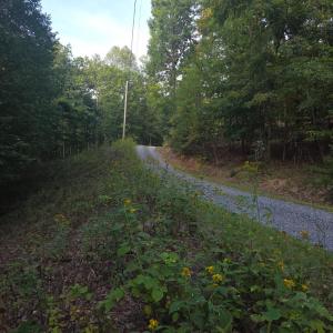 Photo #55 of Hickory Falls Road, Blue Ridge, VA 17.3 acres