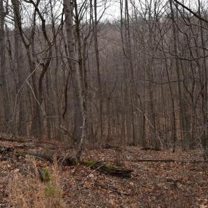 Photo #34 of Hickory Falls Road, Blue Ridge, VA 17.3 acres