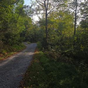 Photo #52 of Hickory Falls Road, Blue Ridge, VA 17.3 acres