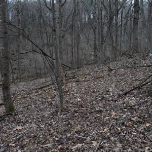 Photo #18 of Hickory Falls Road, Blue Ridge, VA 17.3 acres