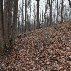 Photo #46 of Hickory Falls Road, Blue Ridge, VA 17.3 acres