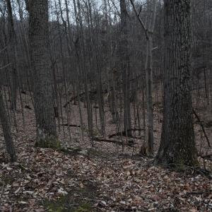 Photo #23 of Hickory Falls Road, Blue Ridge, VA 17.3 acres