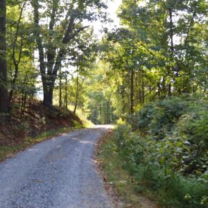 Photo #6 of Hickory Falls Road, Blue Ridge, VA 17.3 acres