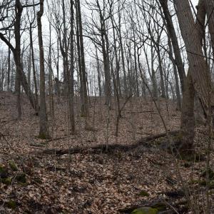 Photo #28 of Hickory Falls Road, Blue Ridge, VA 17.3 acres