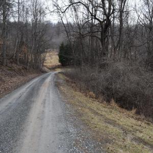 Photo #22 of Hickory Falls Road, Blue Ridge, VA 17.3 acres