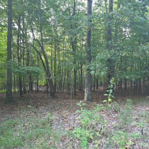Photo #56 of Hickory Falls Road, Blue Ridge, VA 17.3 acres
