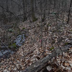Photo #35 of Hickory Falls Road, Blue Ridge, VA 17.3 acres