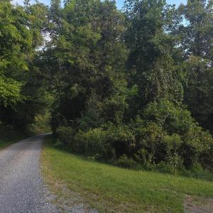 Photo #48 of Hickory Falls Road, Blue Ridge, VA 17.3 acres